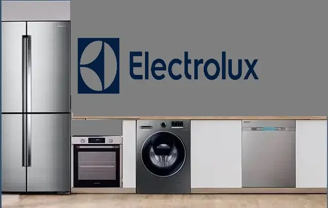 Gaziosmanpaşa Electrolux servisi